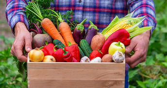 Agricultura familiar produziu 164 mil toneladas de alimentos para PAA em 2023