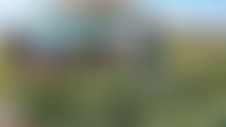 Dia de Campo em Nova Andradina difunde tecnologias sustentáveis para agricultura familiar