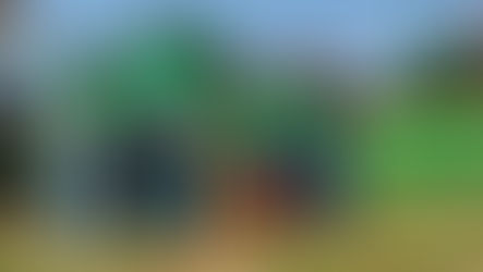 Com aula de pesquisador do Cepaer, estudantes têm aula sobre espécies nativas do Estado