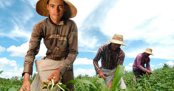 Jovens no campo garantem futuro da agricultura familiar