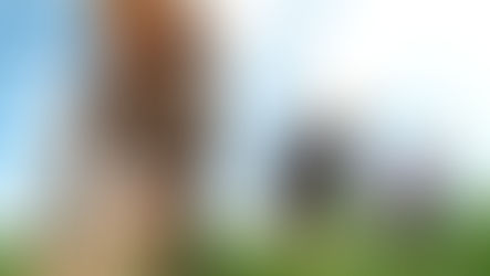 Jovens no campo garantem futuro da agricultura familiar