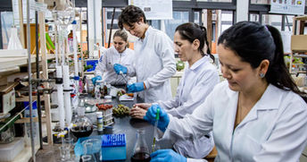 Estudo gera a primeira patente do óleo essencial de guavira para uso em cosméticos