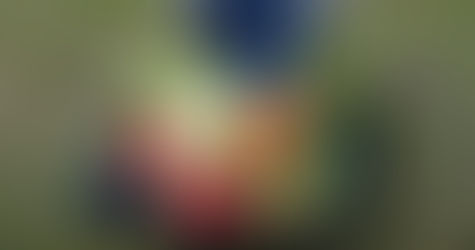 Contribuição do Economista Doméstico para a agricultura familiar