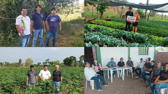 Dia do Técnico Agropecuário: A transformação de demandas reprimidas em políticas públicas