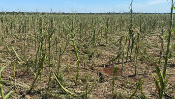 Agricultores familiares prejudicados com tempestade são auxiliados por equipe da Agraer