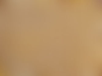 Lei define o acesso de pequenos criadores de animais ao milho comercializado pela Conab