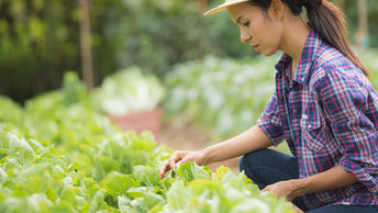Projeto cria programa para estimular jovens empreendedores rurais de baixa renda