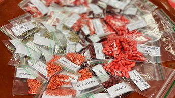 Através de assistência técnica, Quintal Produtivo impulsiona produção nas comunidades indígenas