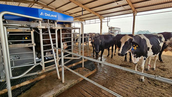 Técnicos da Agraer realizam visita técnica em fazenda com ordenha robotizada