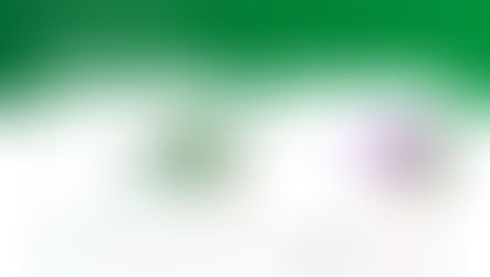 Aplicativo Assistente PNAE abre portas para comercialização de produtos da agricultura familiar