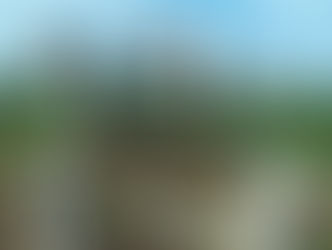 Estudante e professor desenvolvem ferramenta que pode ajudar agricultura familiar