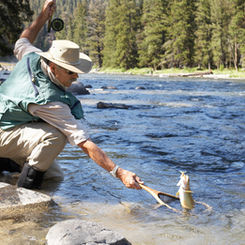 Test your Phishing Knowledge