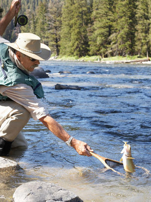 Angler landing a trout