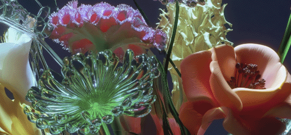 CM_Newsletter_Gif_DD_600x280px.gif