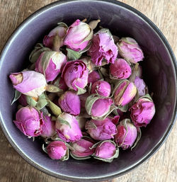 Rosa damascena