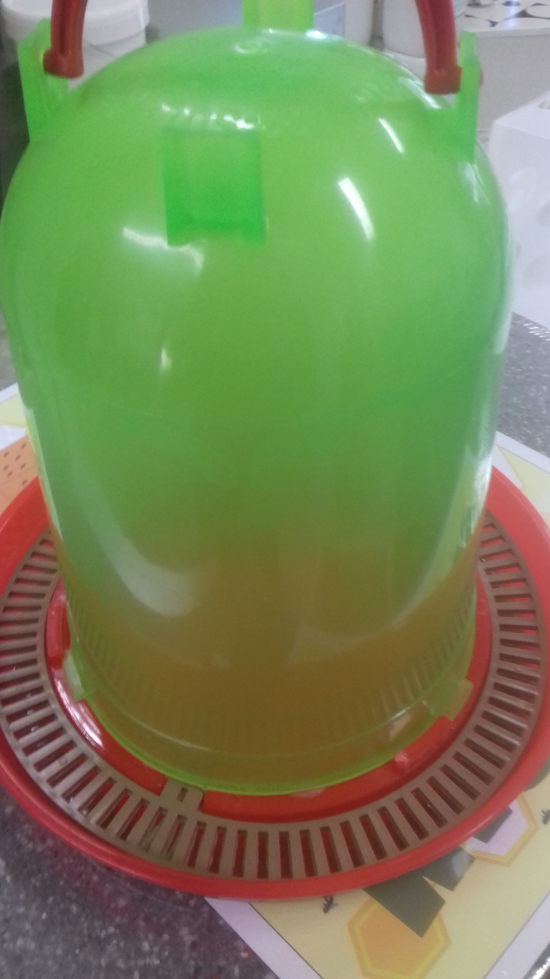 abreuvoir pour abeilles