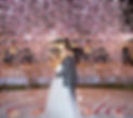 Confetti at Christie Sperry wedding.jpg