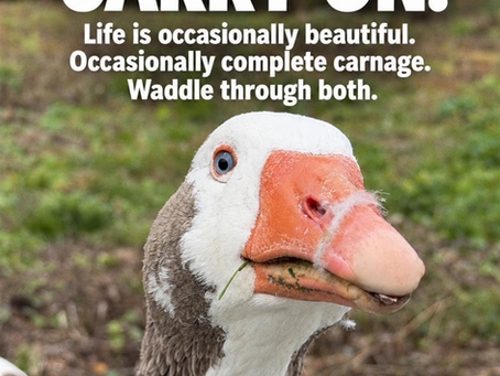 Waddle Through Both