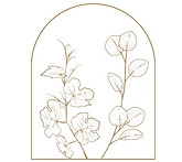 vitis-2.jpg