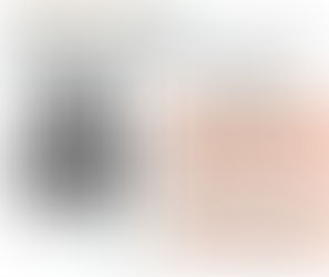 Prisión Preventiva en el Sistema Penal Acusatorio Adversarial