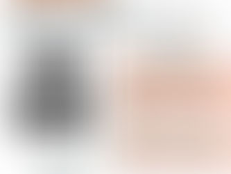 Prisión Preventiva en el Sistema Penal Acusatorio Adversarial