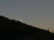 IMG_7885.JPG