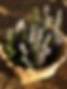 rosemary basket.jpeg