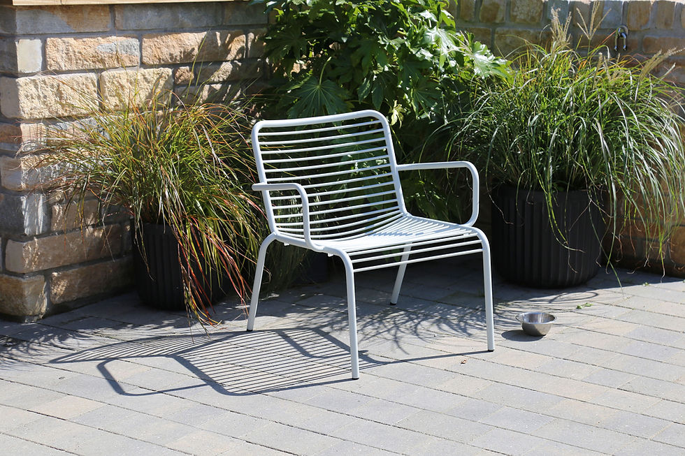 Thumbnail: Origin Contour Lounge Arm Chair