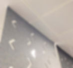 Ceiling Static Track Mount