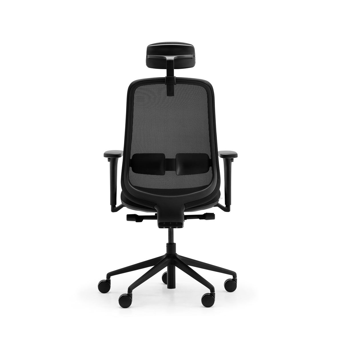 Lavoro Storr Ergonomic Office Chair with headrest
