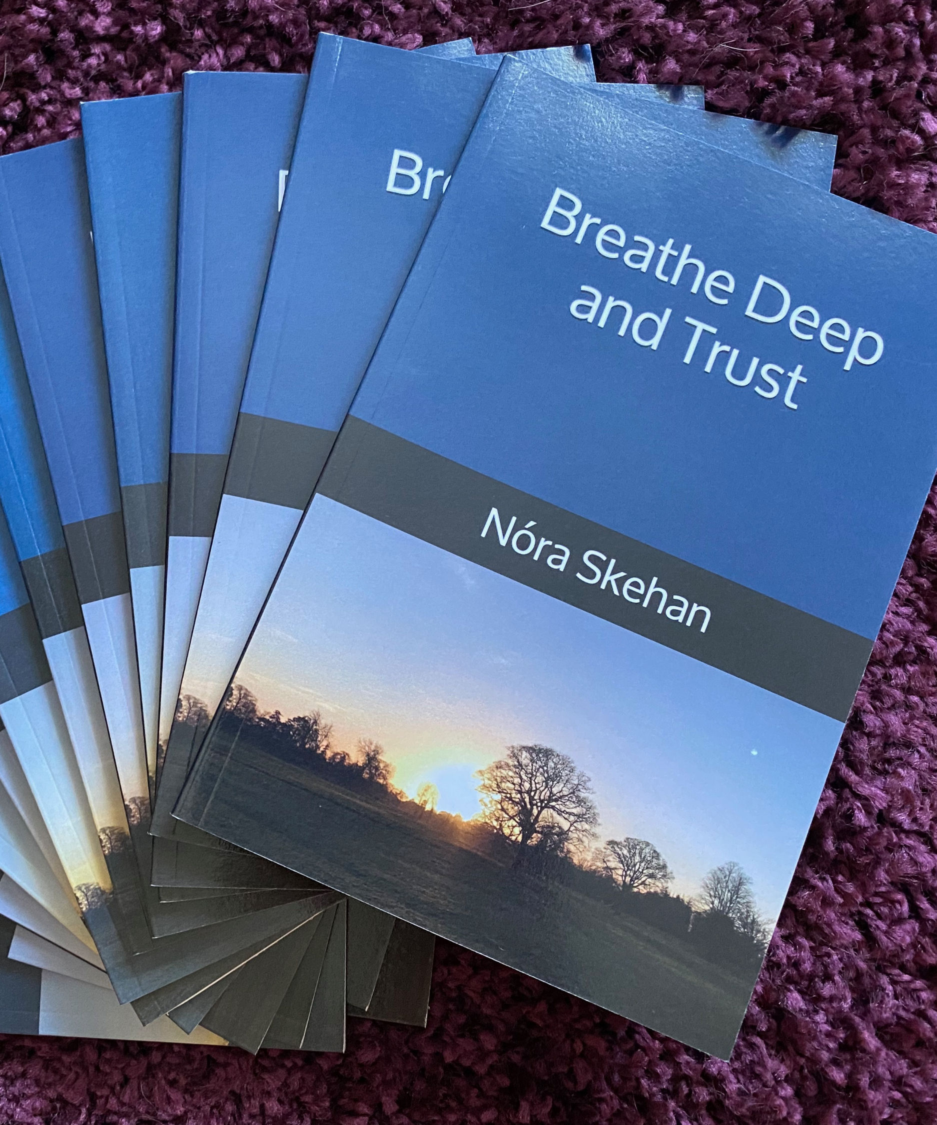 Stack of Breathe Deep and Trust poetry books by Nora 