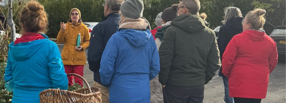 Participants on a foraging walk guided in Ireland.