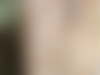Noren: More Than a Curtain - 暖簾 -