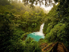 Scenic waterfall in Dehradun surrounded by lush tropical green forest and mist representing top waterfalls travel guide