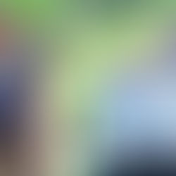 uttarakhand chief minister pushkar singh dhami on jungle safari