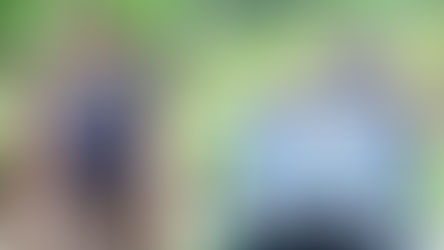 uttarakhand chief minister pushkar singh dhami on jungle safari