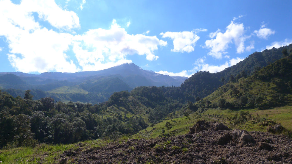 P1050642