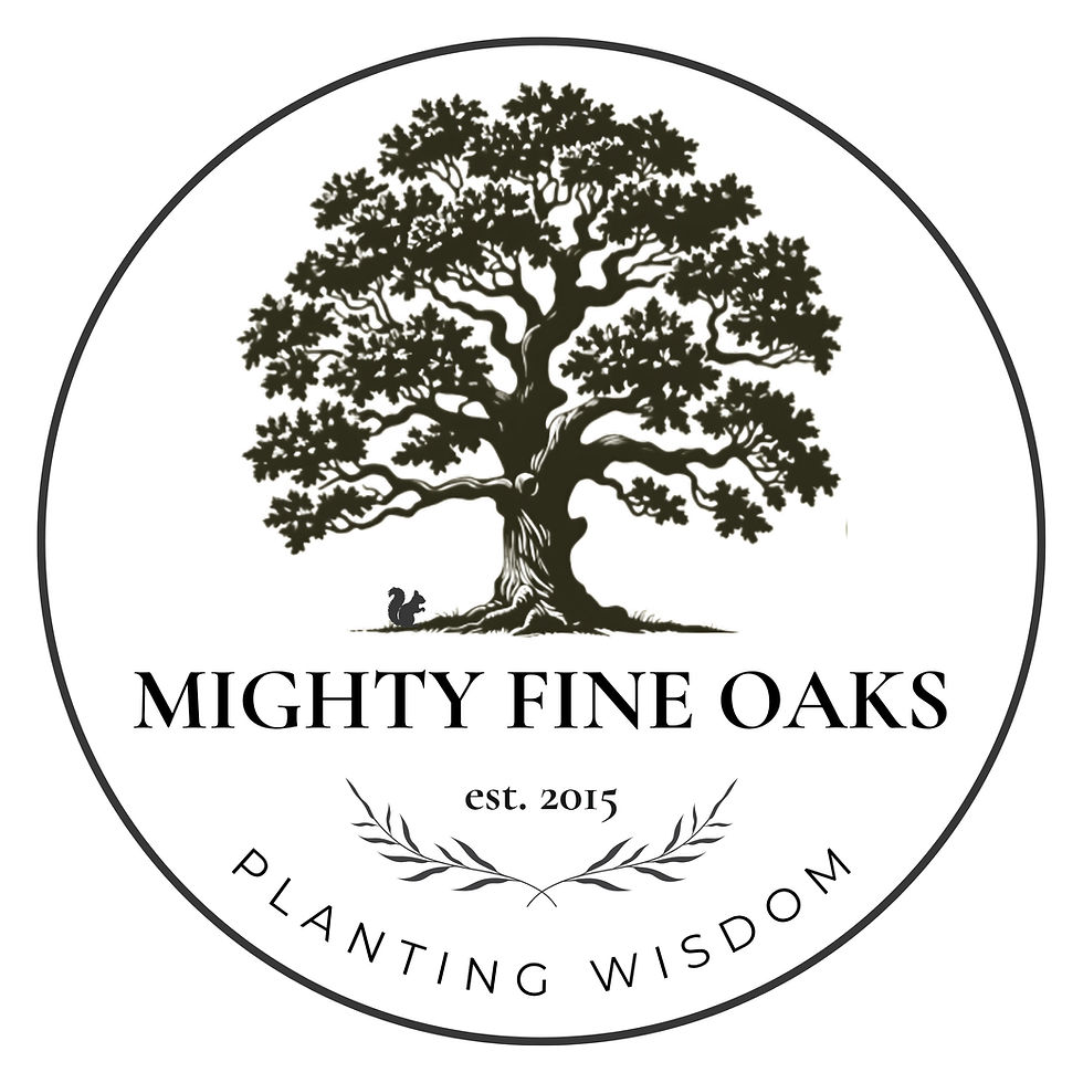 Oak planting in farm landscapes