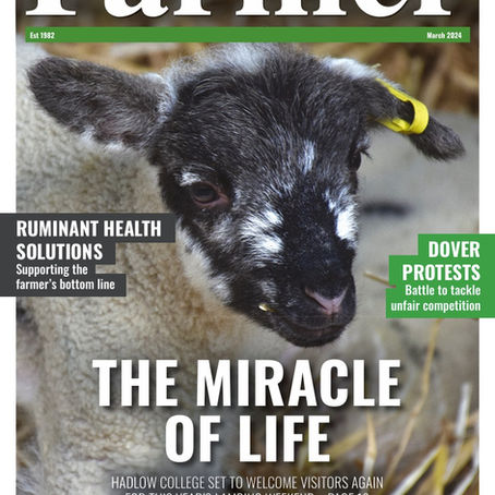 Guest Feature on the Cluster in South East Farmer