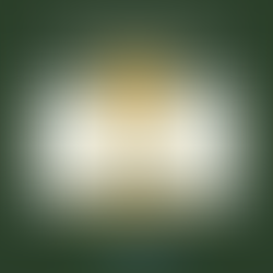 New Agricology podcast series: To Till or Not to Till