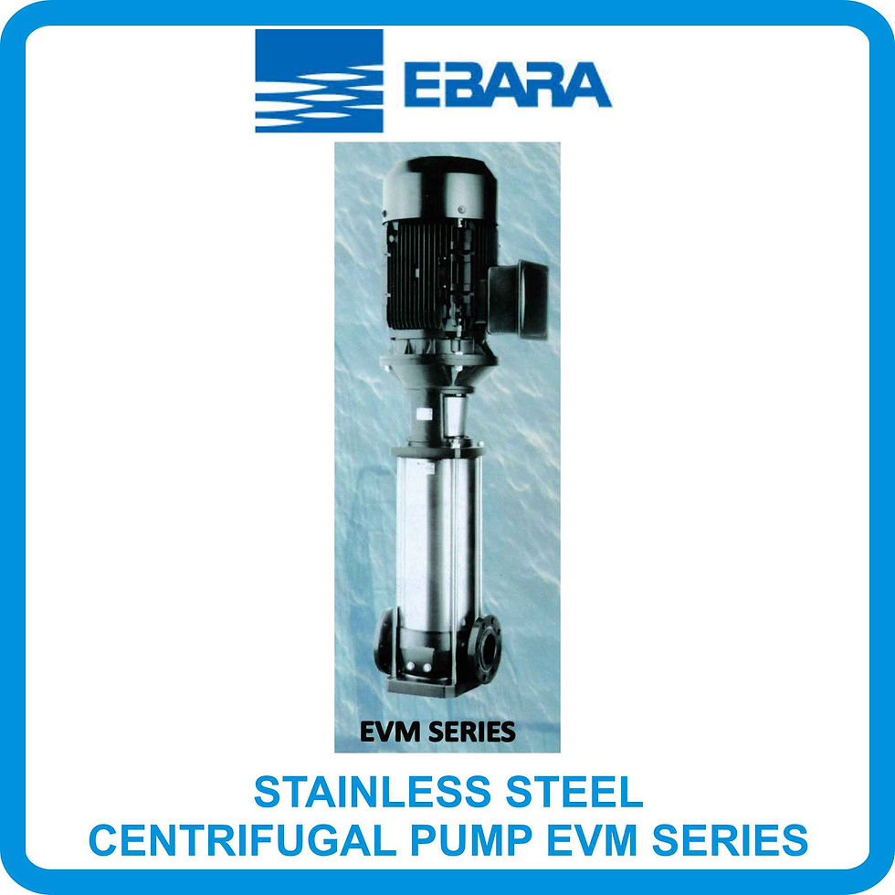 Thumbnail: EBARA STAINLESS STEEL CENTRIFUGAL PUMP