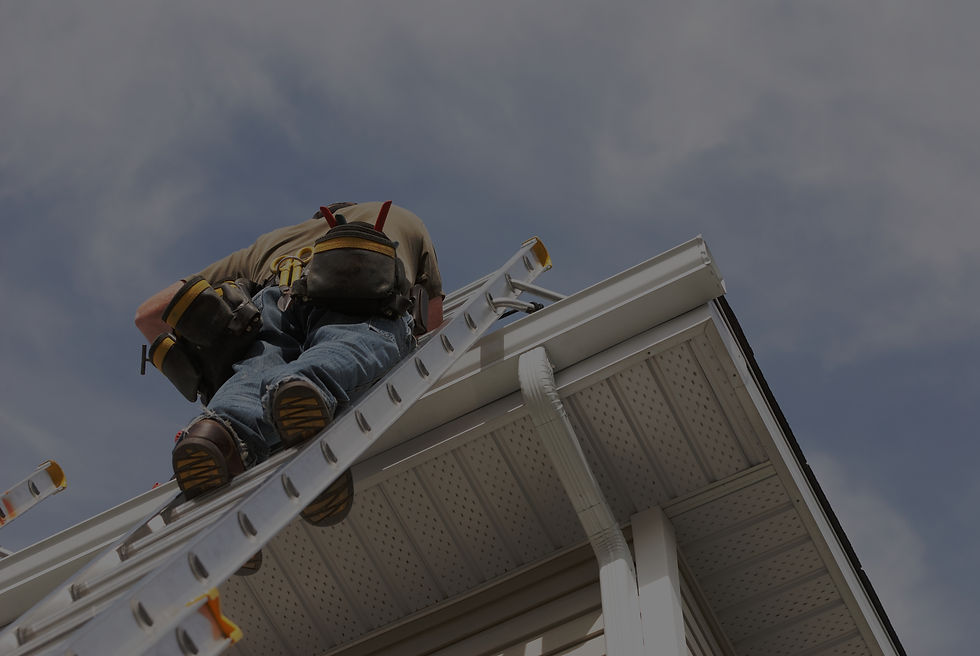 Worker on Ladder