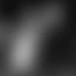 Paparazzis, los nuevos fotógrafos de moda.