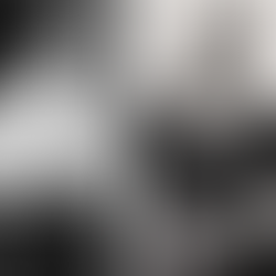 Schiaparelli VS Chanel ¿había enemistad entre ambas diseñadoras?