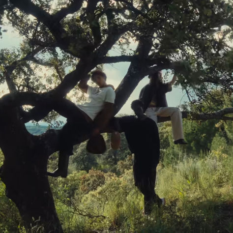 Home Coming, BlowUp nos regresa al hogar.