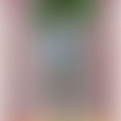 Ya se anunció el tema del Met Gala 2025: Superfine, Tailoring Black Style.