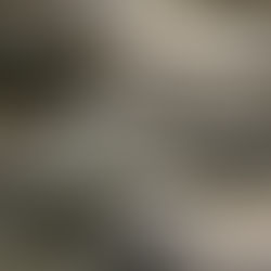 Granjas de cocodrilos de Hermès en Australia