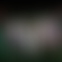 Andrés Pajón y Felipe Cartagena: Una visión expansiva de la moda colombiana.