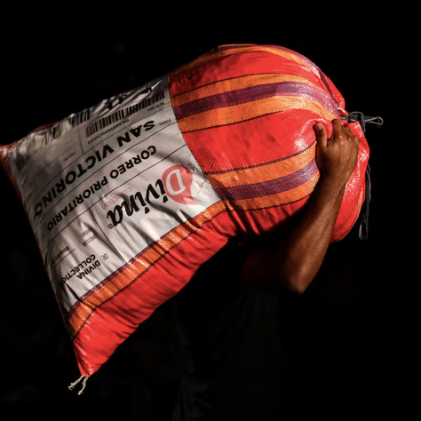 Madrugón, desfile de San Victorino en BFW 2024.