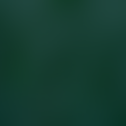 Vero Solís Presentará la Colección "Mexicana de Corazón" en el Festival Internacional Santa Lucía 2024.